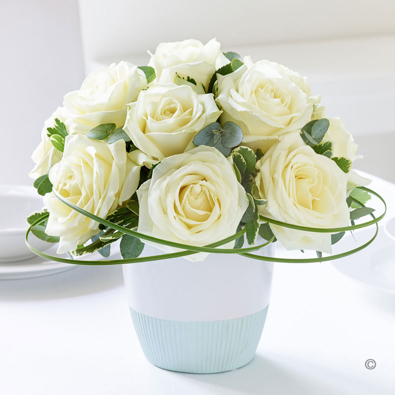 Classic Chic White Rose Arrangement – Sweeneys Florist