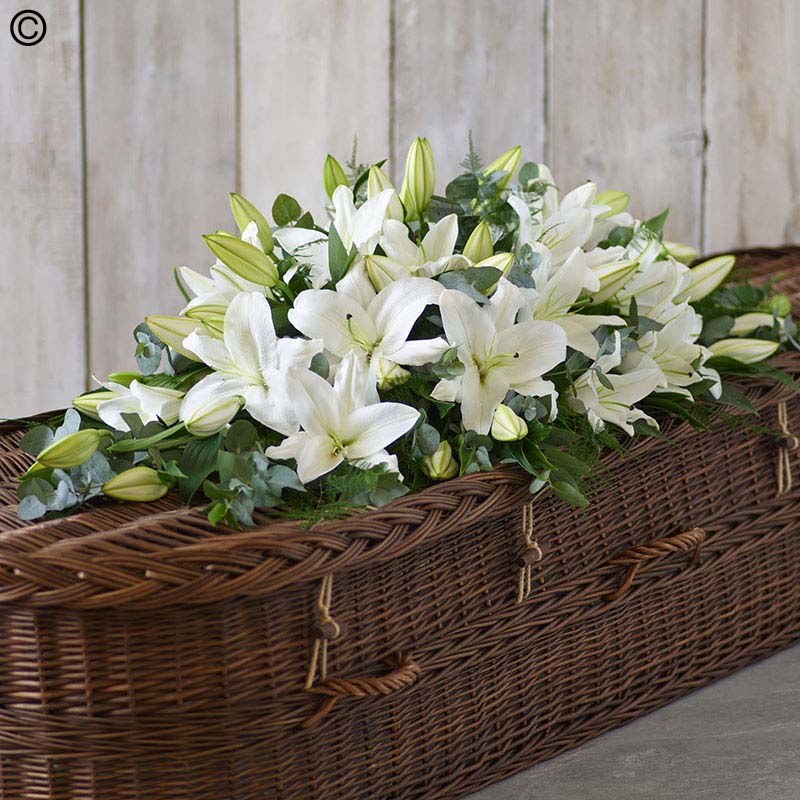 Lily Casket Spray - White Standard