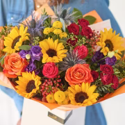 The Sunflower Carnival